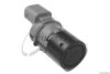 TRUCKTEC AUTOMOTIVE 08.42.088 Sensor, park assist sensor